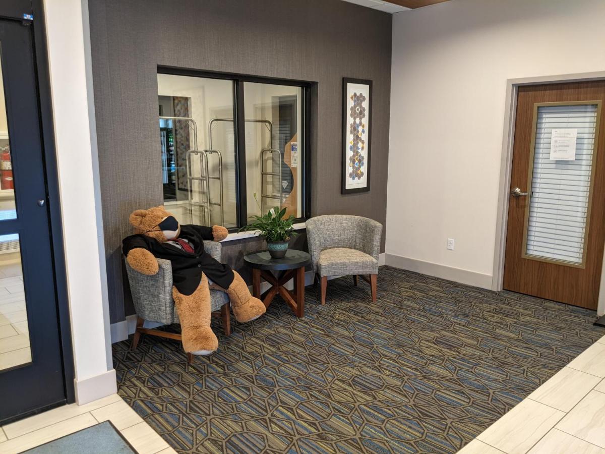 Holiday Inn Express South Burlington By Ihg Экстерьер фото